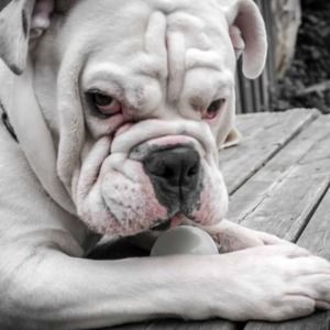 Meet your Posher, Traci